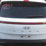 2024 Hyundai Kona FWD – Door Assembly Rear Back